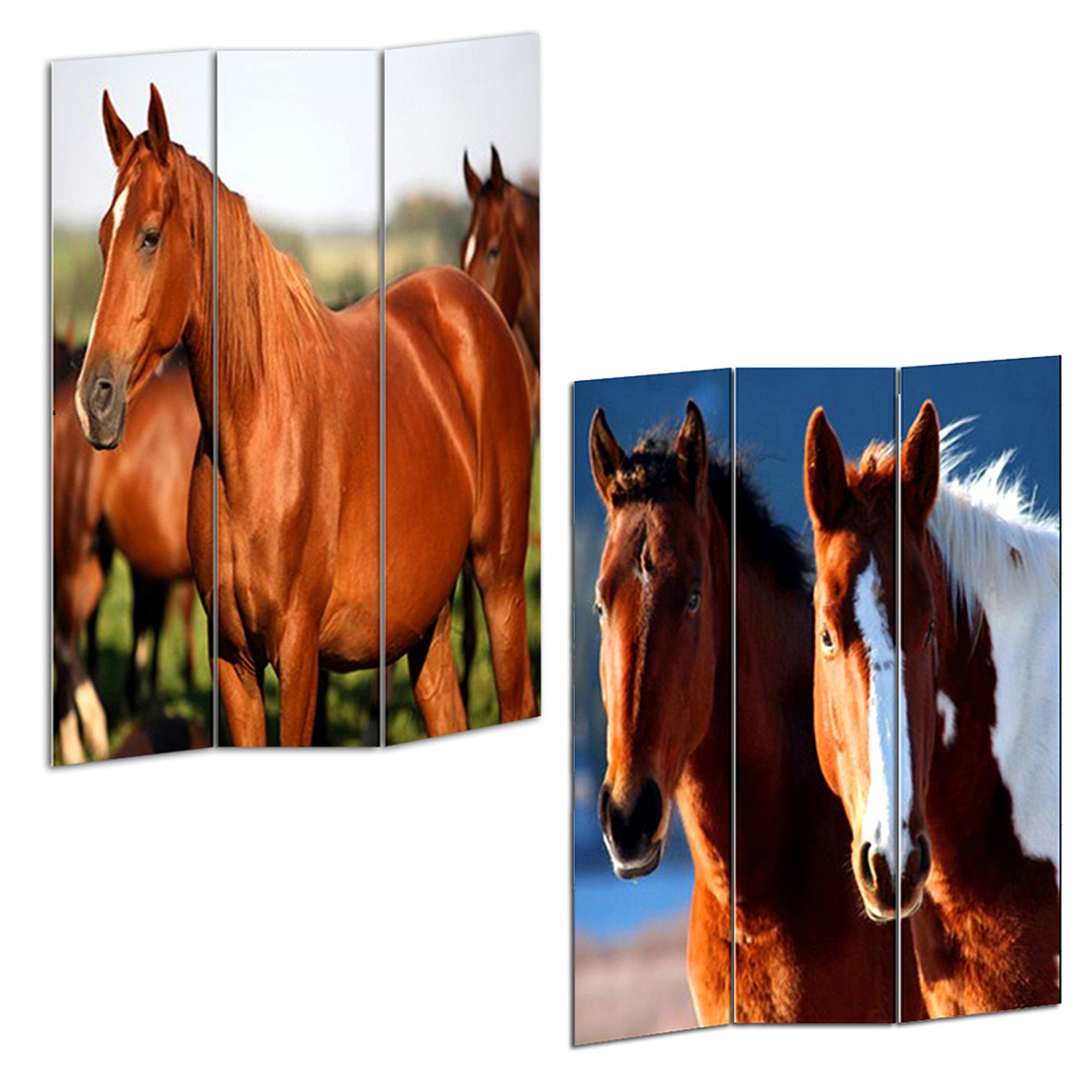 1" x 48" x 72" Multi Color Wood Canvas Horse Screen