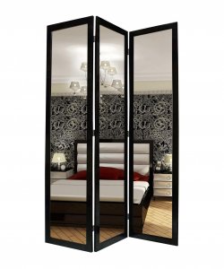 1 x 50 x 69 Black Glass & Wood Mirror  Screen