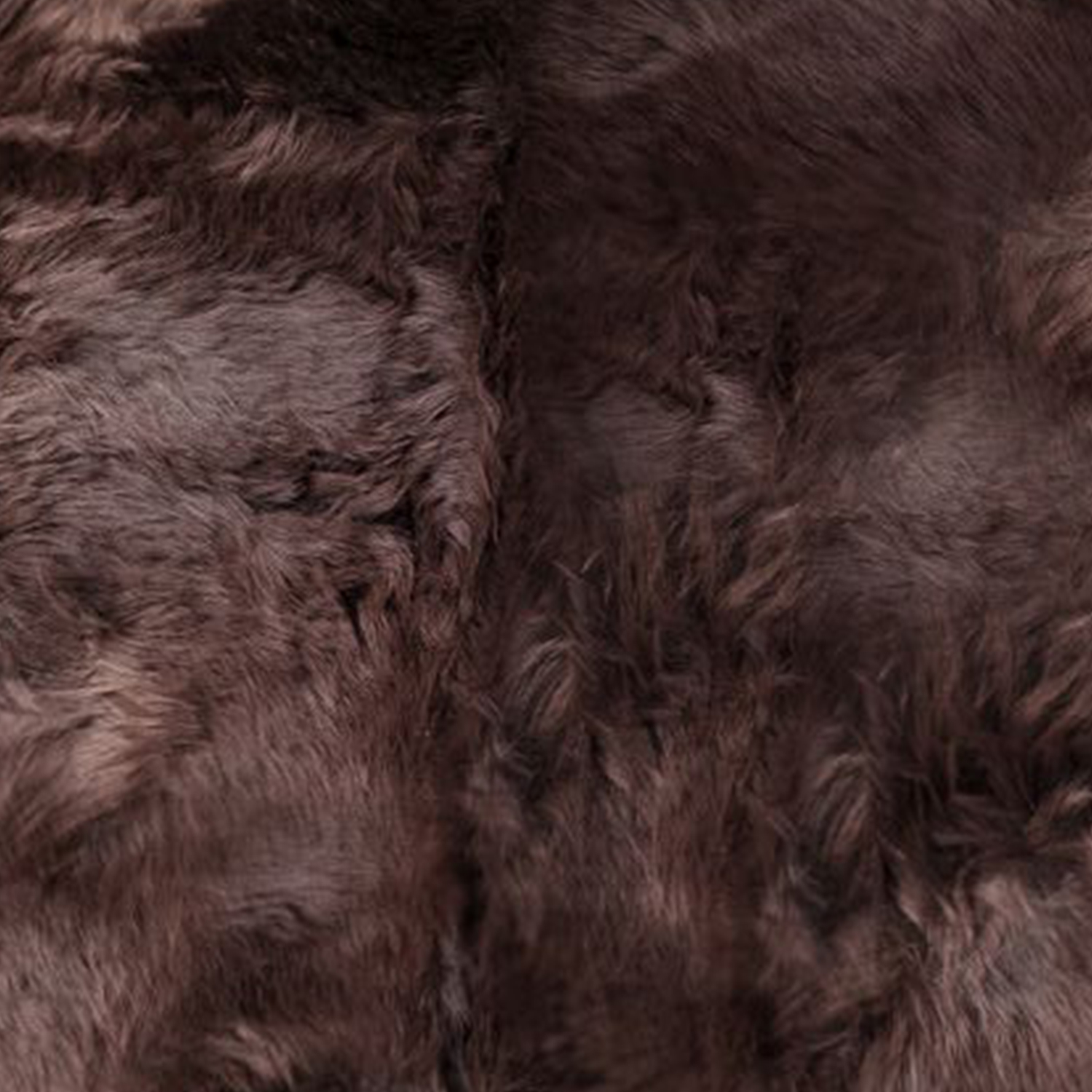 Chocolate Animal Print Area Rug