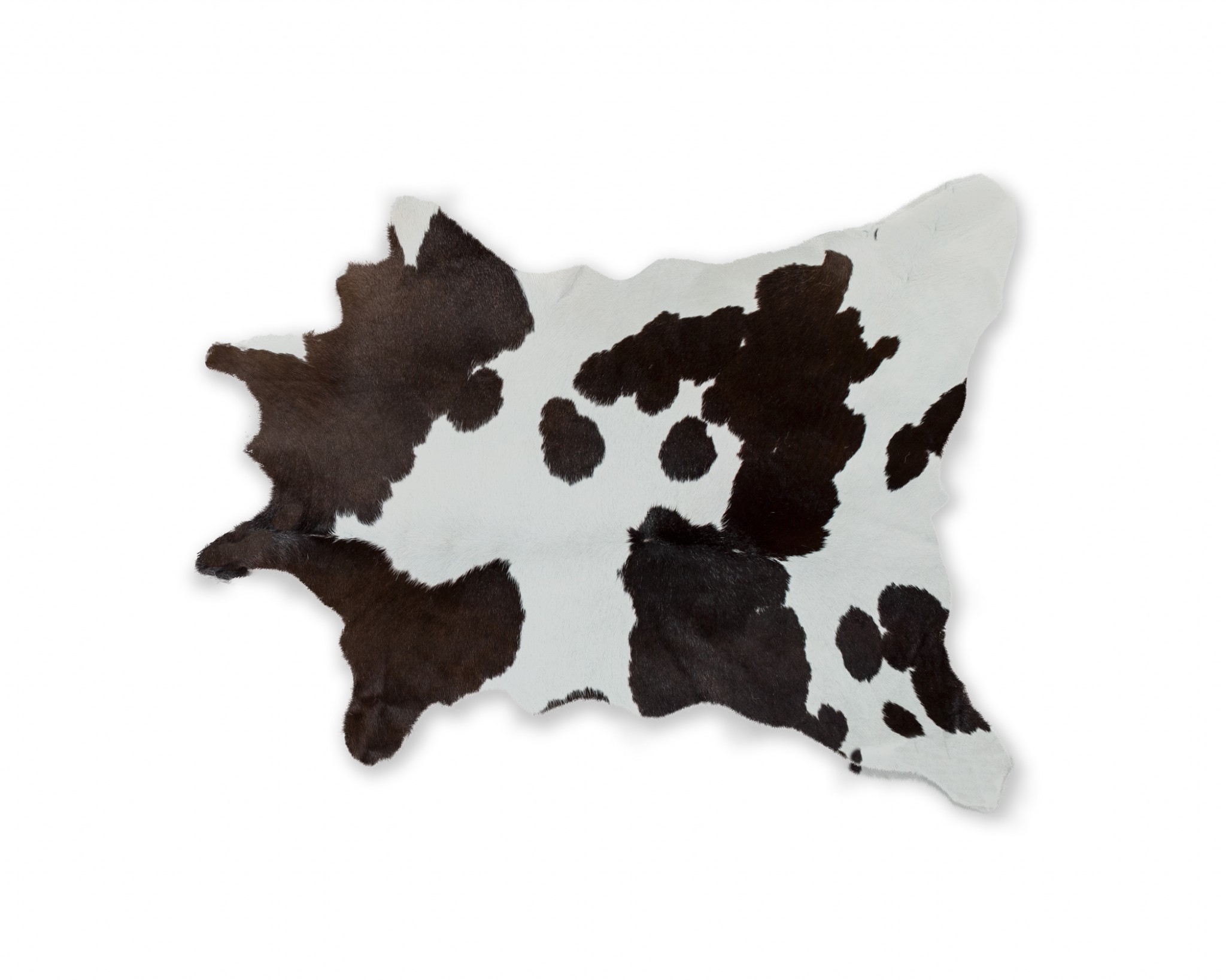 2" X 3" Brown and White Cowhide Hand Woven Area Rug