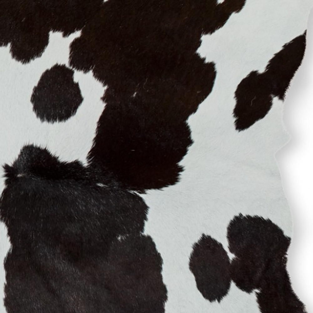 2" X 3" Brown and White Cowhide Hand Woven Area Rug