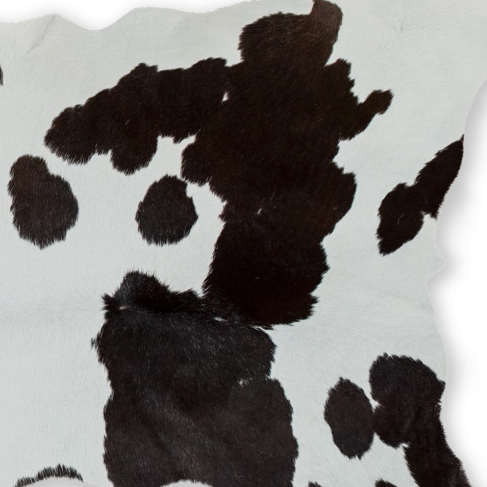 2" X 3" Brown and White Cowhide Hand Woven Area Rug