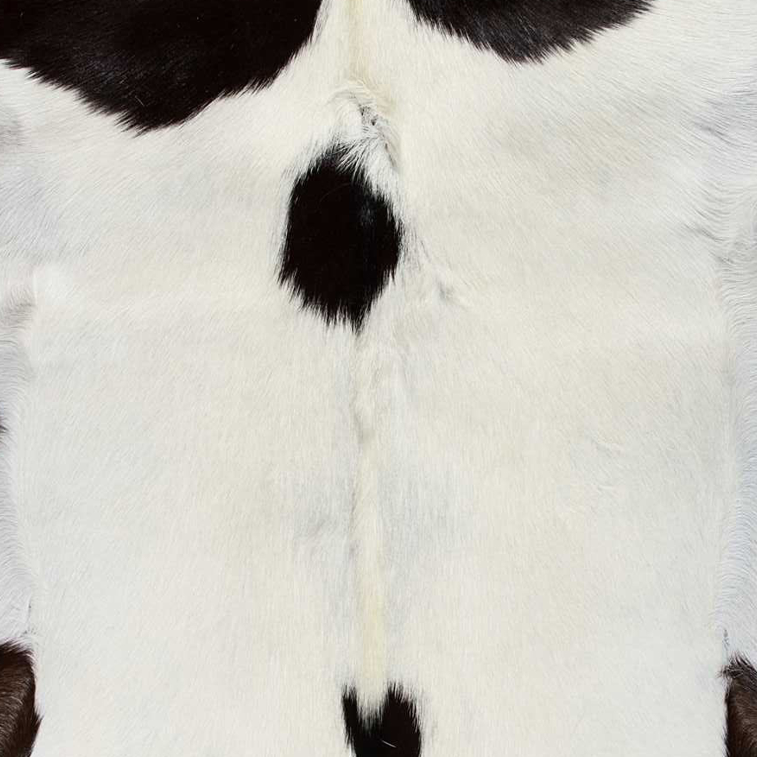 2" X 3" Natural Black And White Calfskin Area Rug