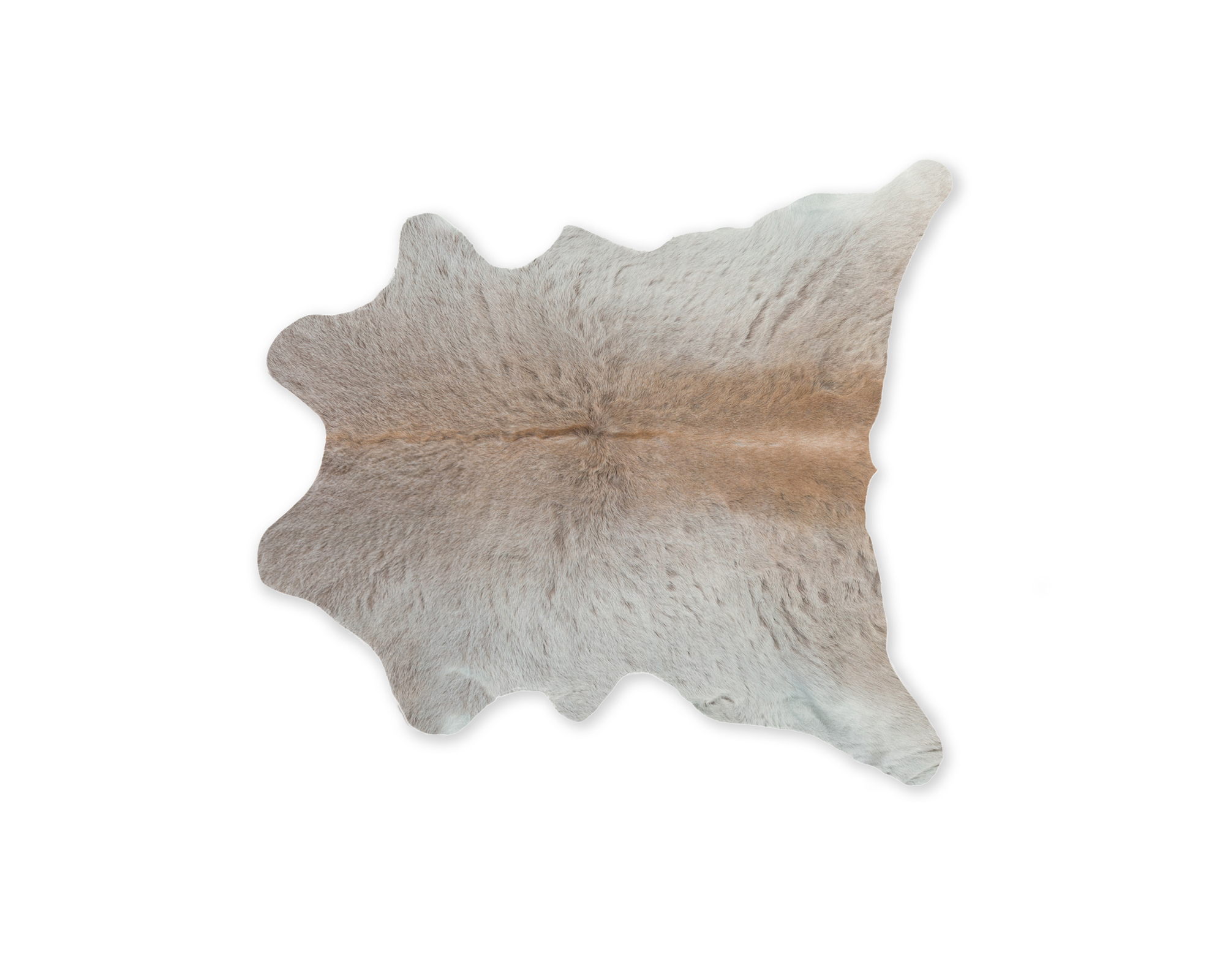 2" X 3" Natural Light Gray Calfskin - Area Rug