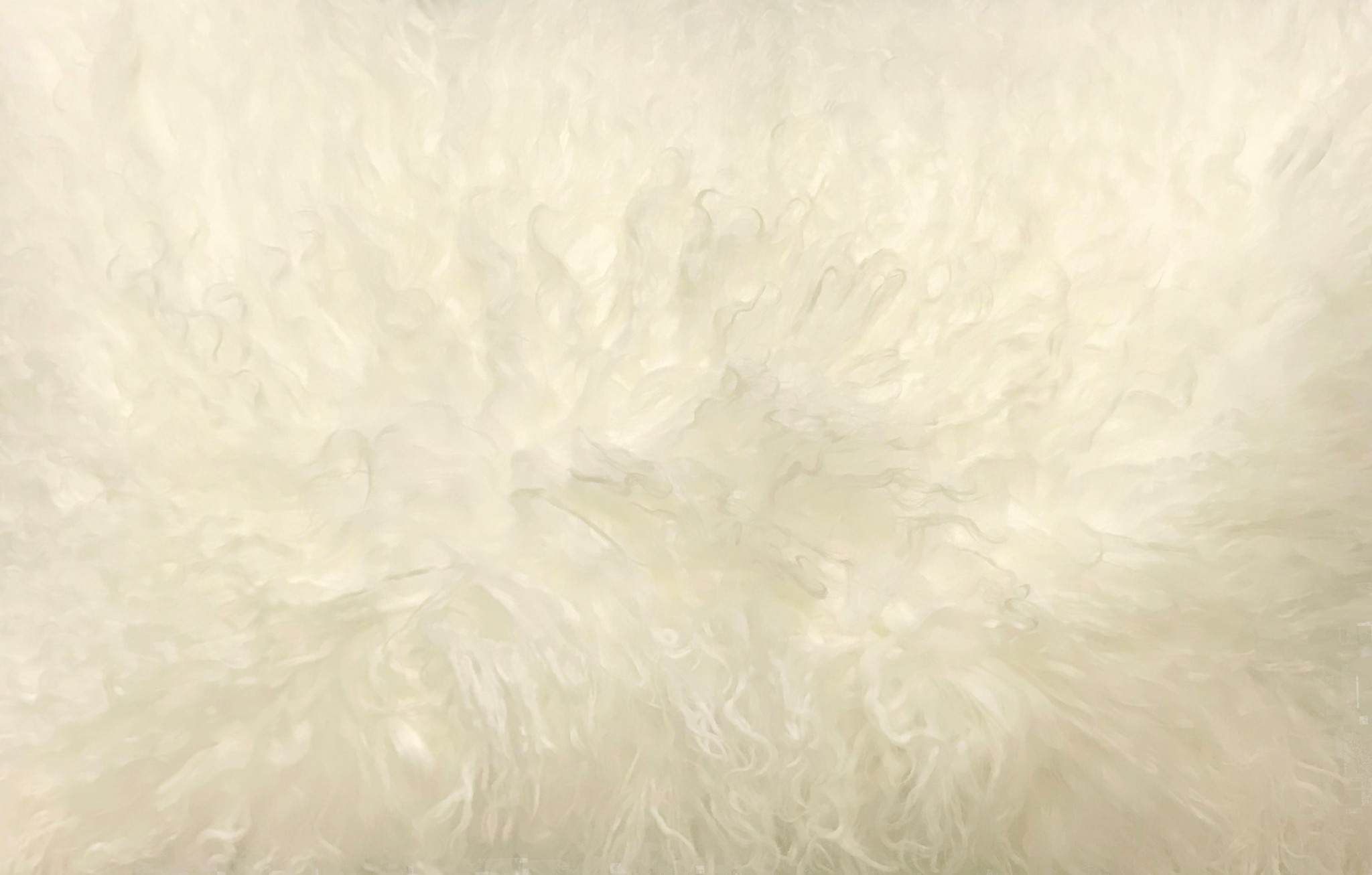24" Creamy Genuine Tibetan Lamb Fur Pillow With Microsuede Backing