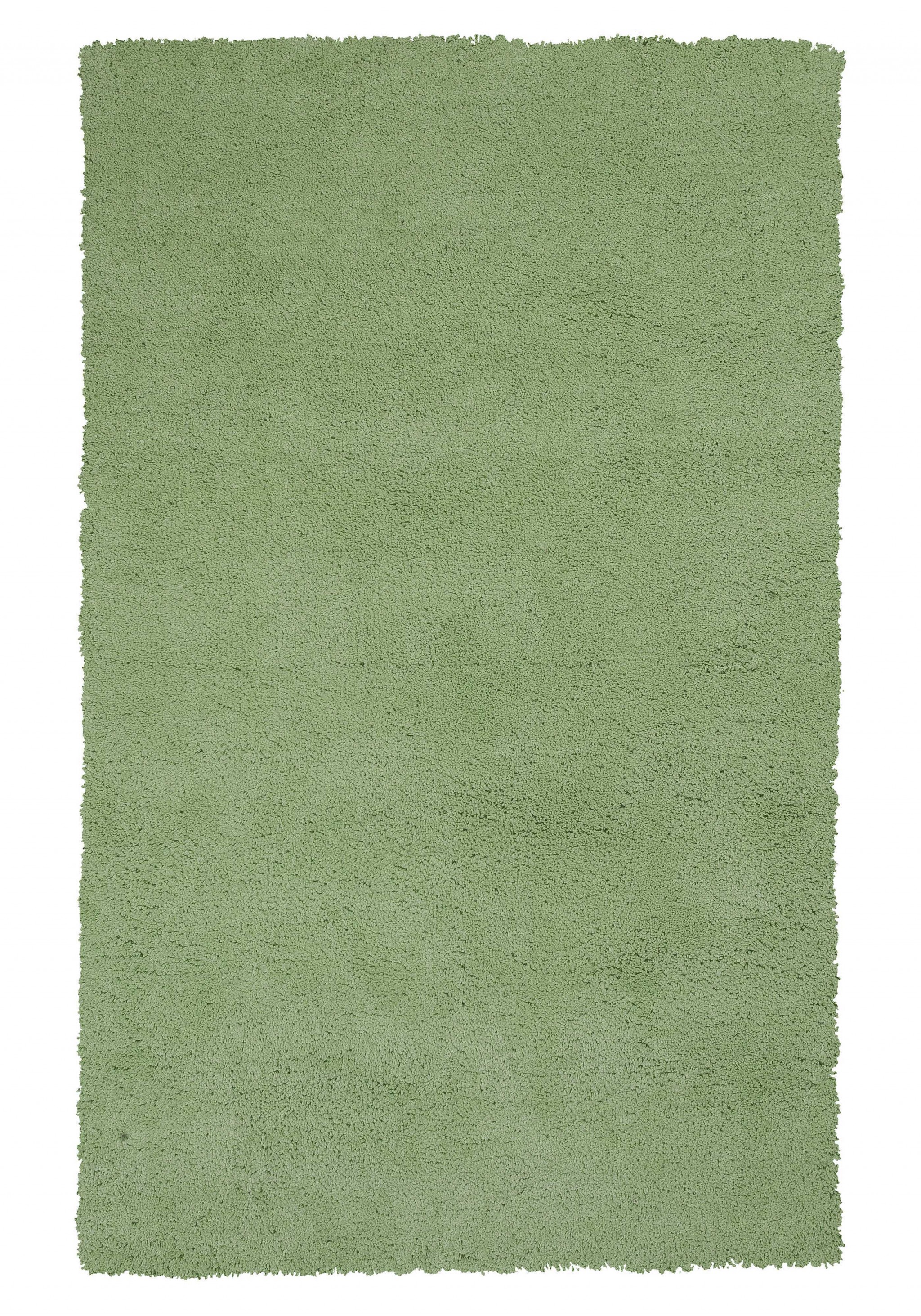 2'X4' Spearmint Green Indoor Shag Rug-353408-1