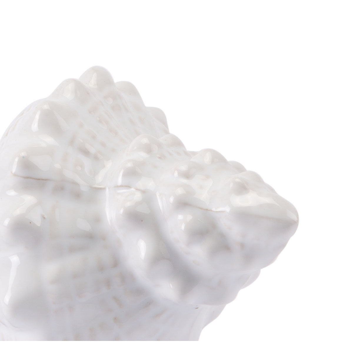 8.3" x 4.9" x 4.1" White, Ceramic, Small Shell
