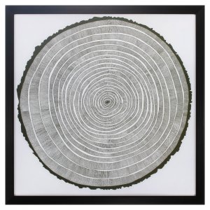 26' X 26' Dark Wood Toned Frame Tree Theory