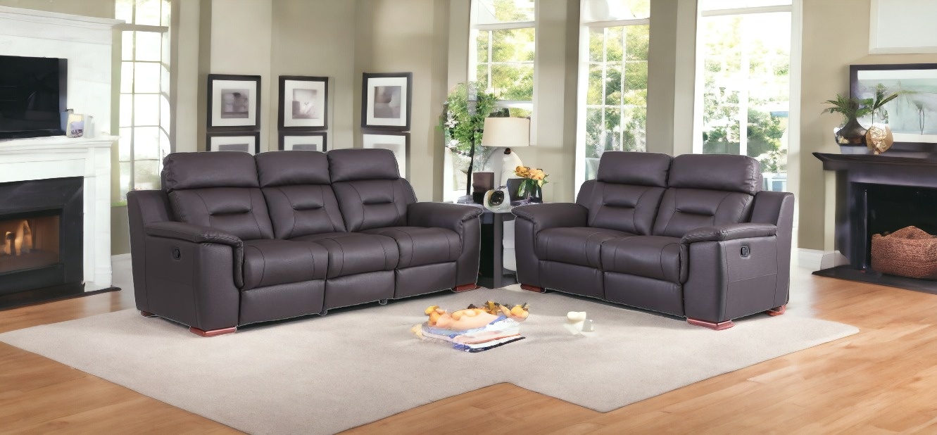 Two Piece Indoor Brown Genuine Leather Five Person Seating Set-366205-1