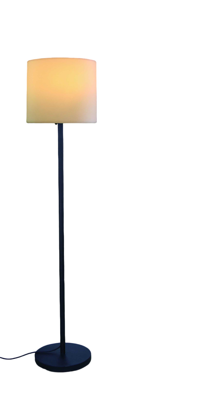 12 X 13 X 60 Metal Floor Lamp