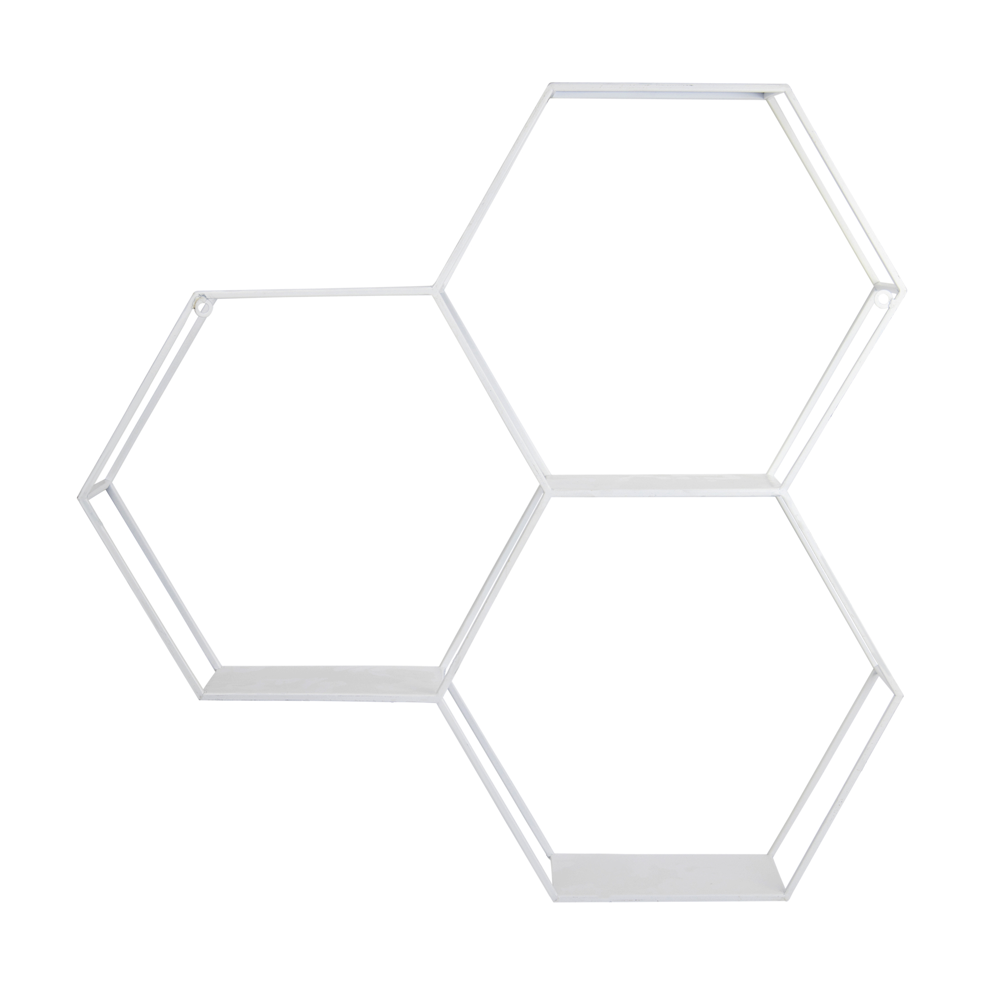 Hexagonal Metal Shelf with D-Ring