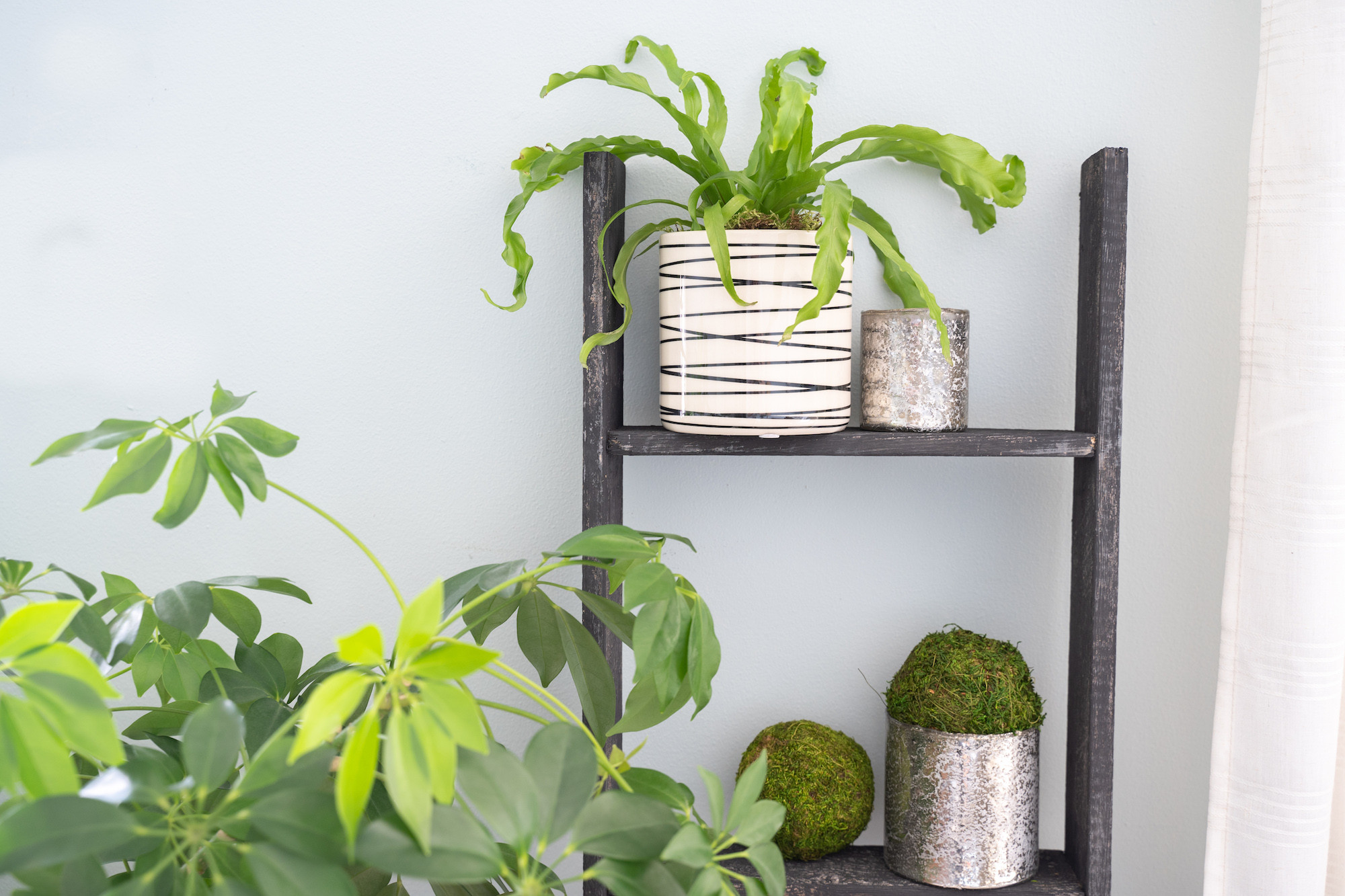 4 Step Rustic Black Wood Ladder Shelf