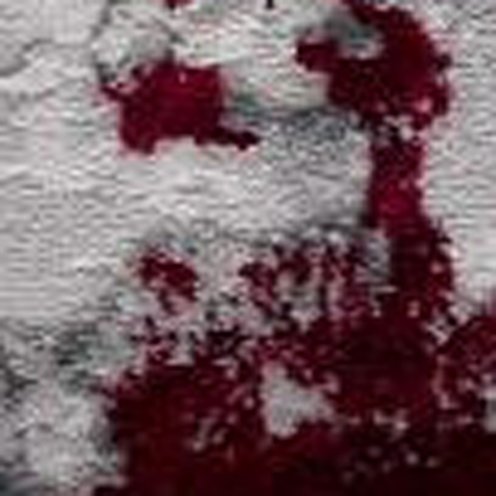 3" X 5" Red Abstract Dhurrie Area Rug