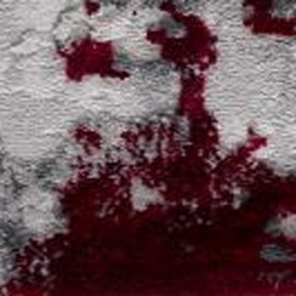 4" X 6" Red Abstract Dhurrie Area Rug