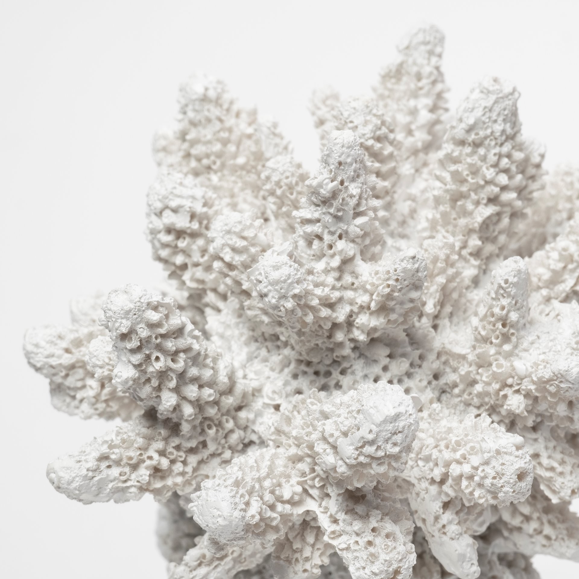 6" White Contempo Coral and Glass Sculpture