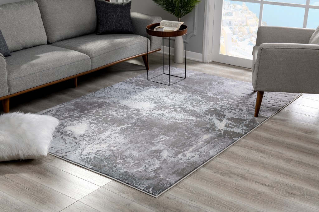 4" X 6" Gray Distressed Abstract Area Rug