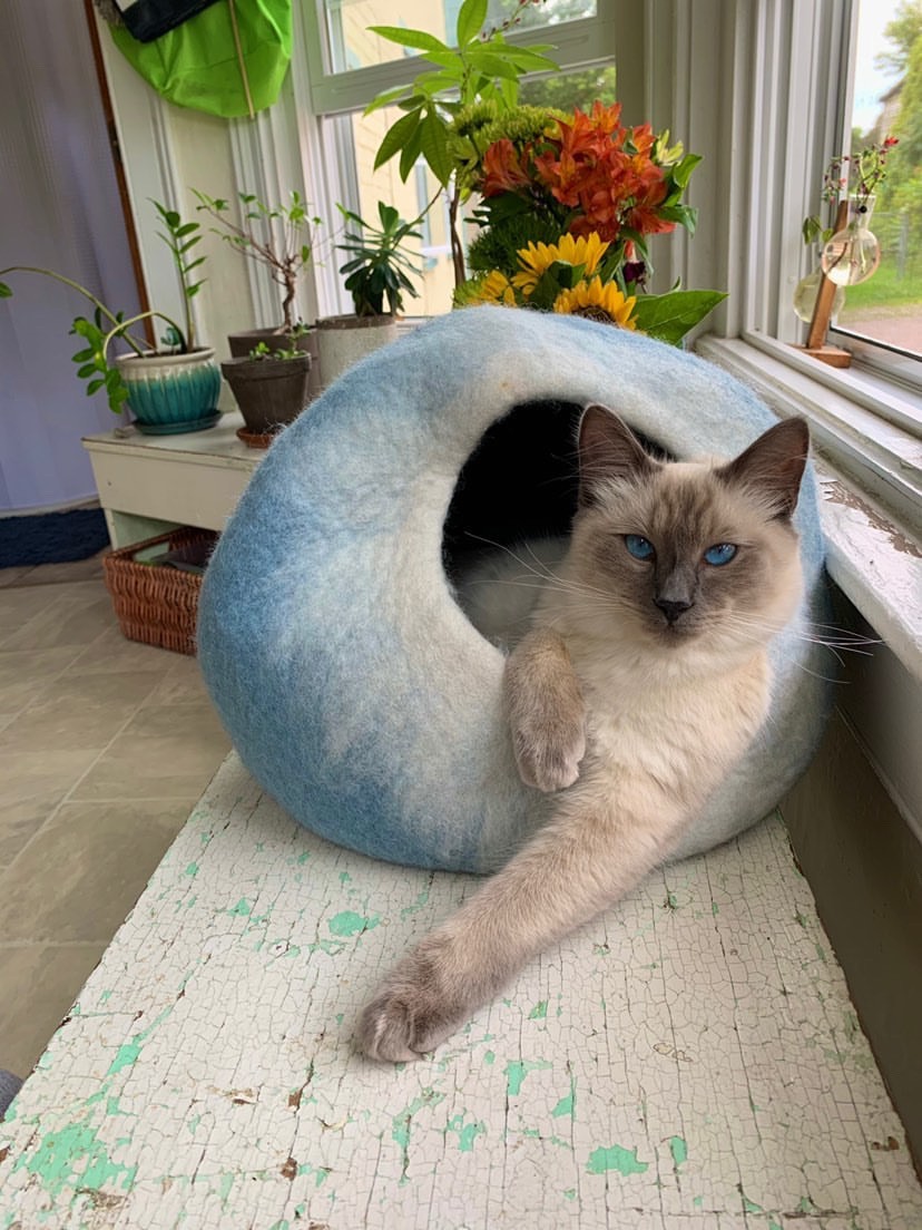Sky Blue and White Cat Cave Bed