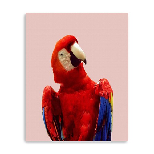 Vibrant And Vivid Bird Unframed Print Wall Art-398871-1