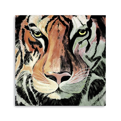 Staring Tiger Portrait Unframed Print Wall Art-398894-1