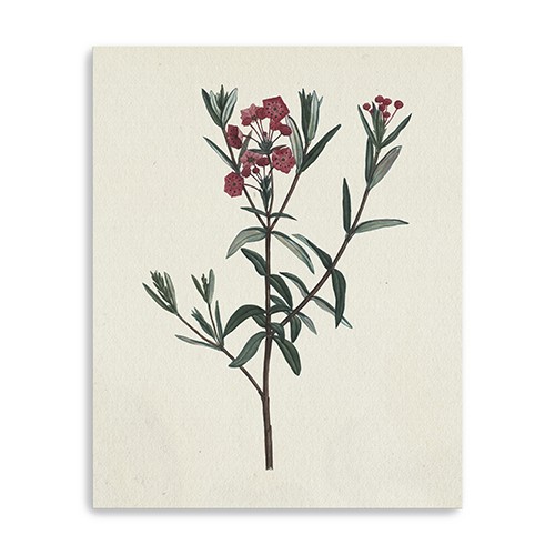Singular Red Blossom Branch Unframed Print Wall Art-399057-1