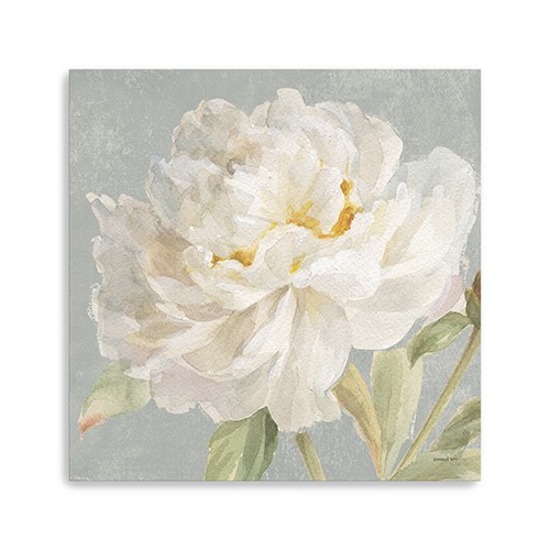 Angelic White Peony Flower Unframed Print Wall Art-399081-1