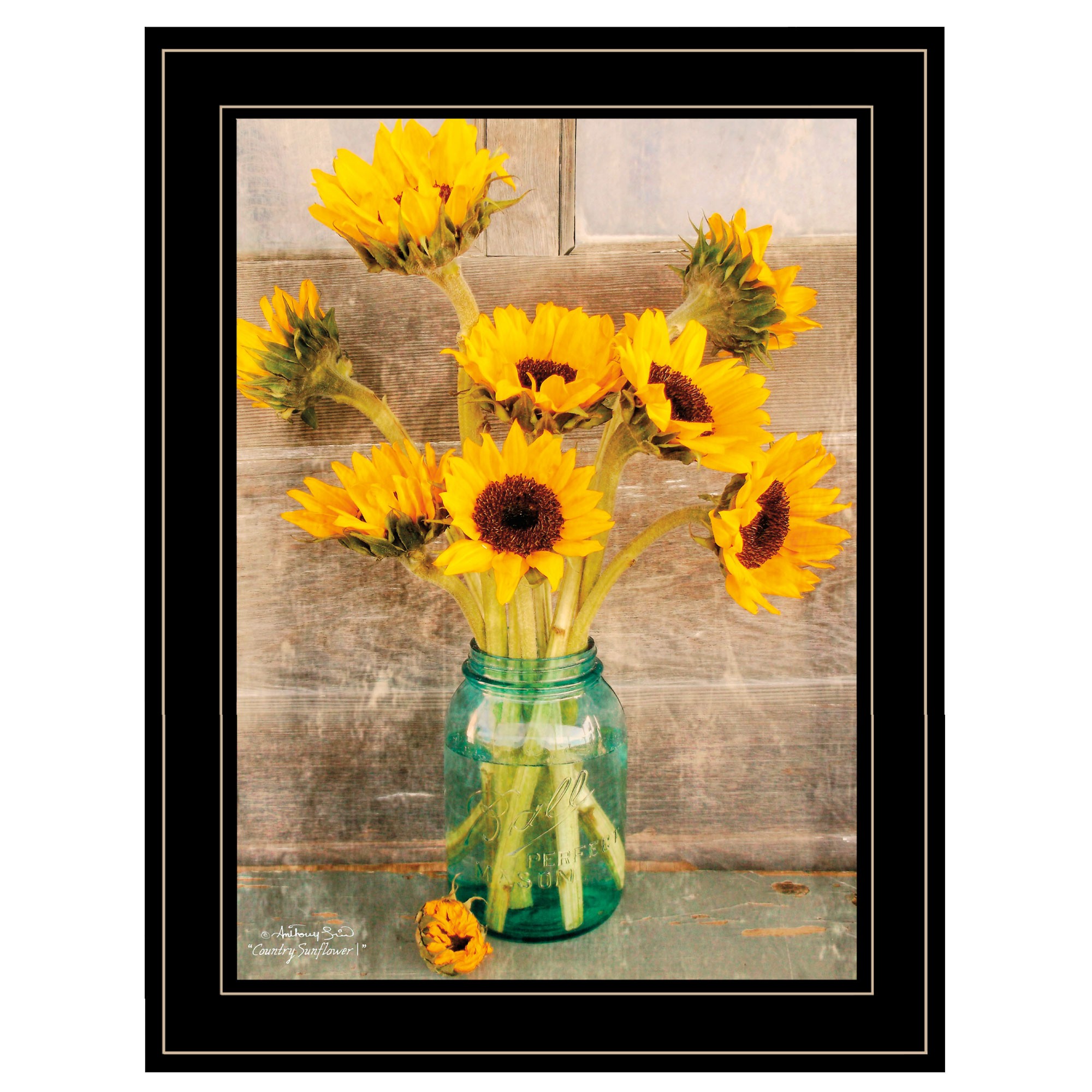 Country Sunflowers In A Mason Jar Black Framed Print Wall Art