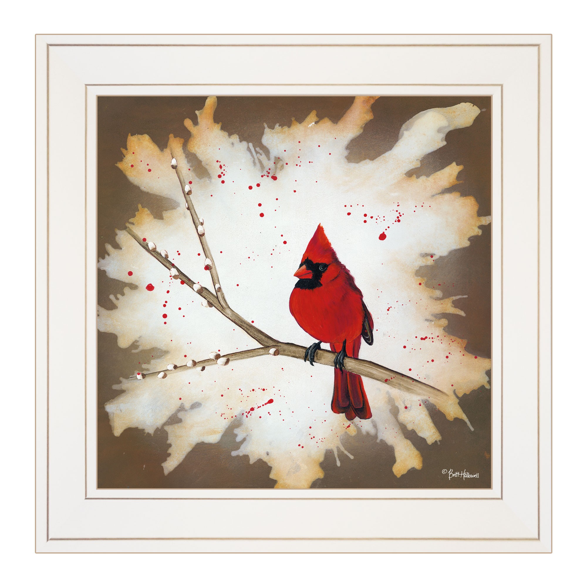 Cardinal On A Branch White Framed Print Wall Art