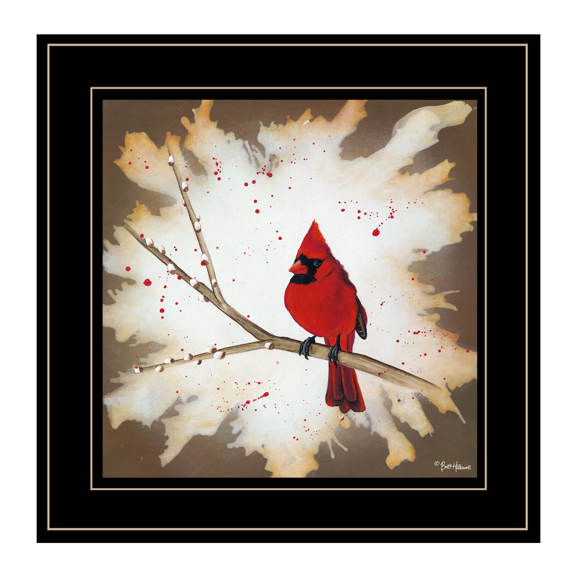 Cardinal On A Branch Black Framed Print Wall Art