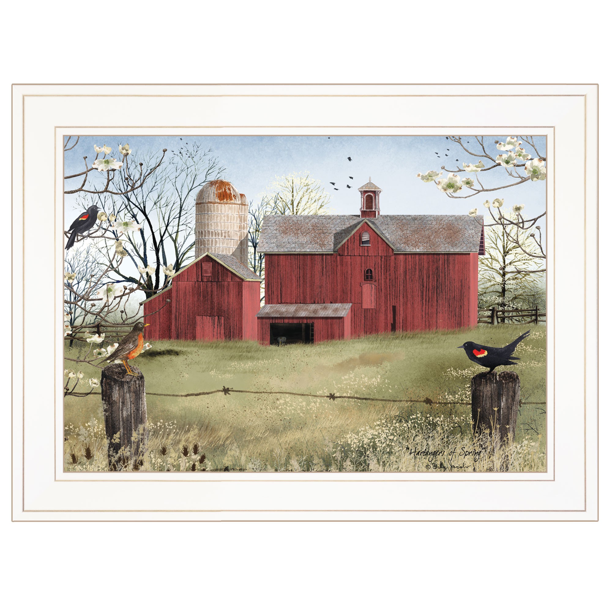 Rustic Red Barn And Birds White Framed Print Wall Art
