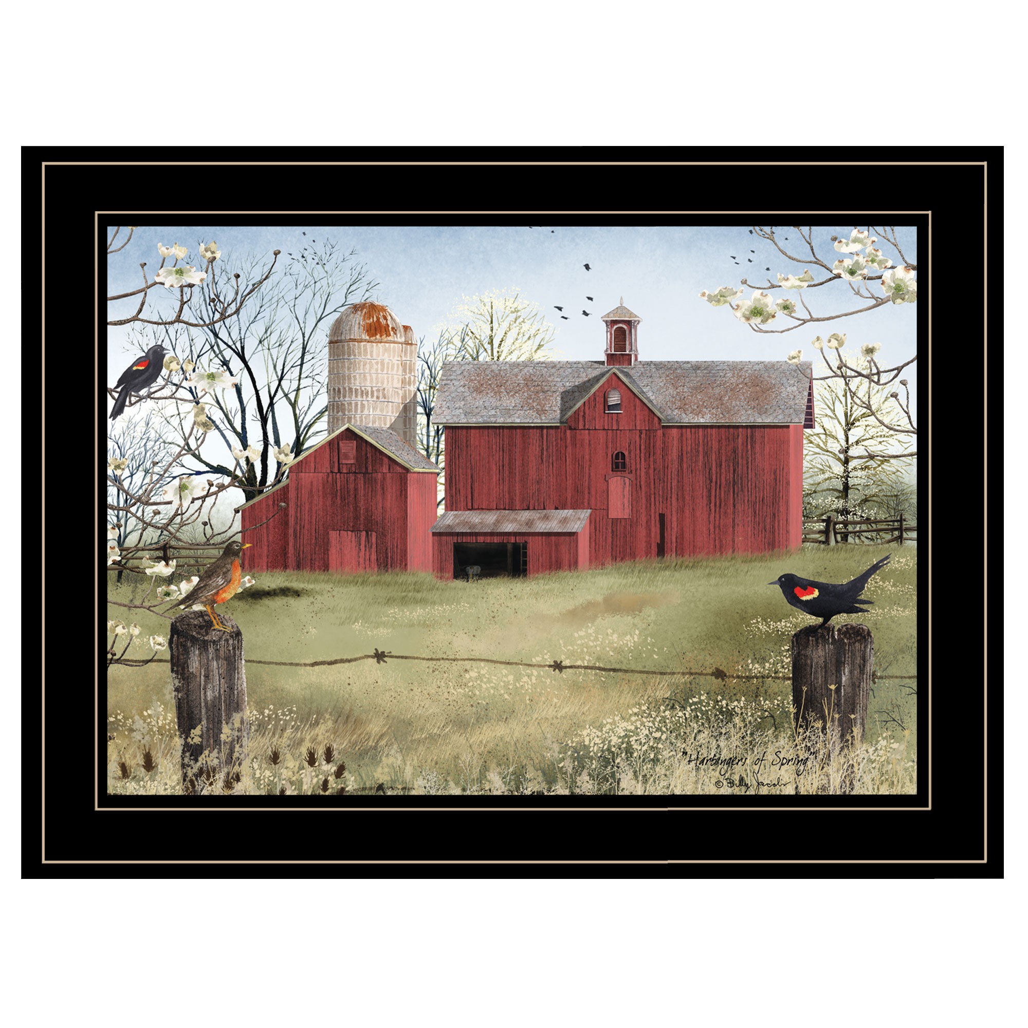 Rustic Red Barn And Birds Black Framed Print Wall Art