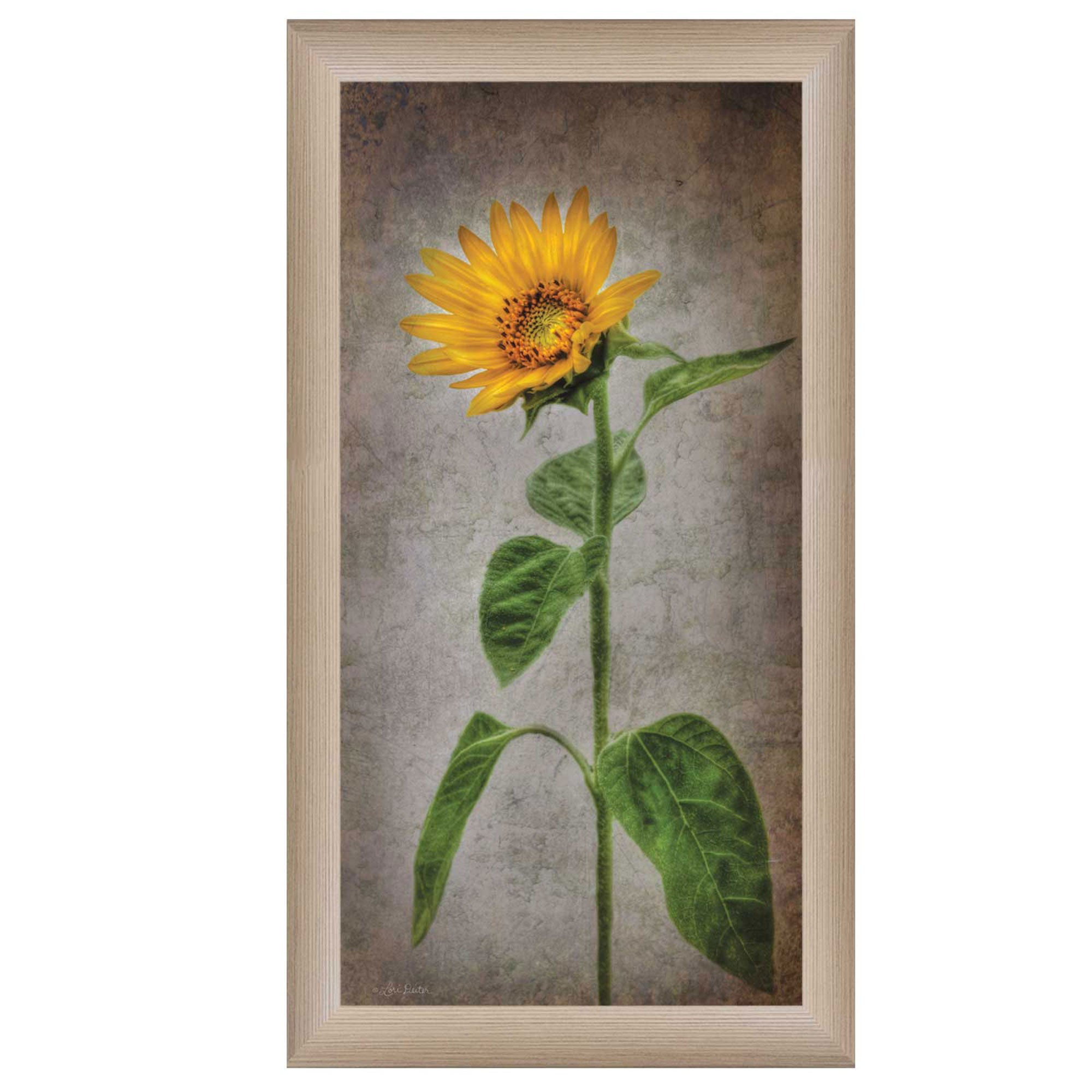 Sunflower Ii Brown Framed Print Wall Art