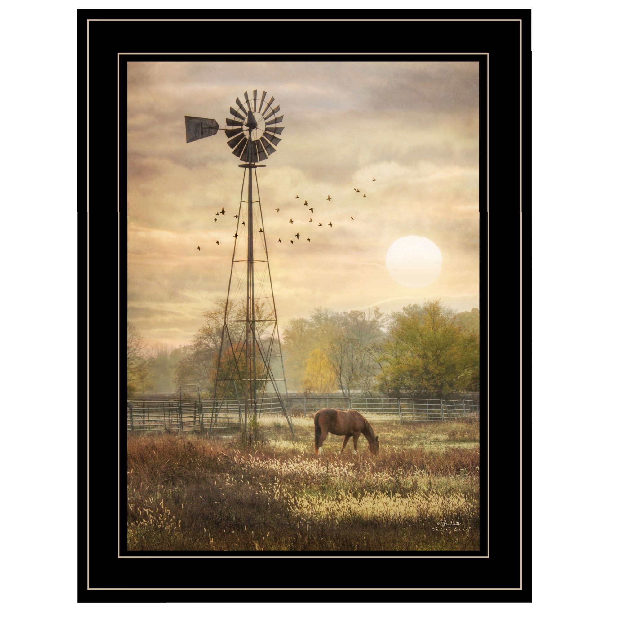 Berks Co. Sunrise Black Framed Print Wall Art