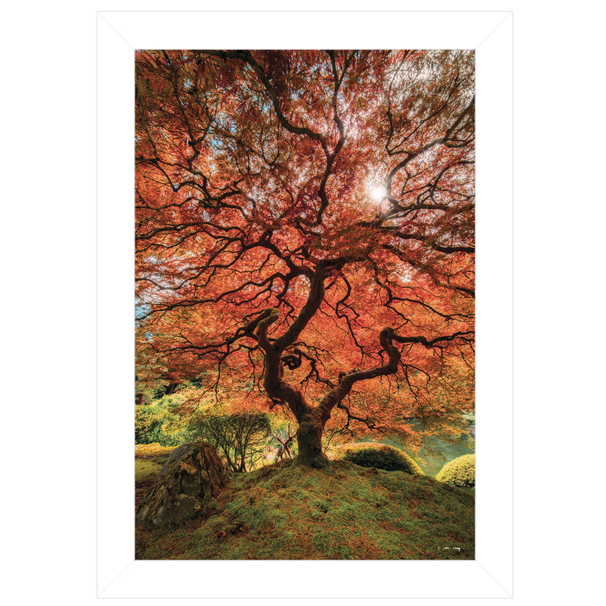 First Colors Of Fall Ii 1 White Framed Print Wall Art