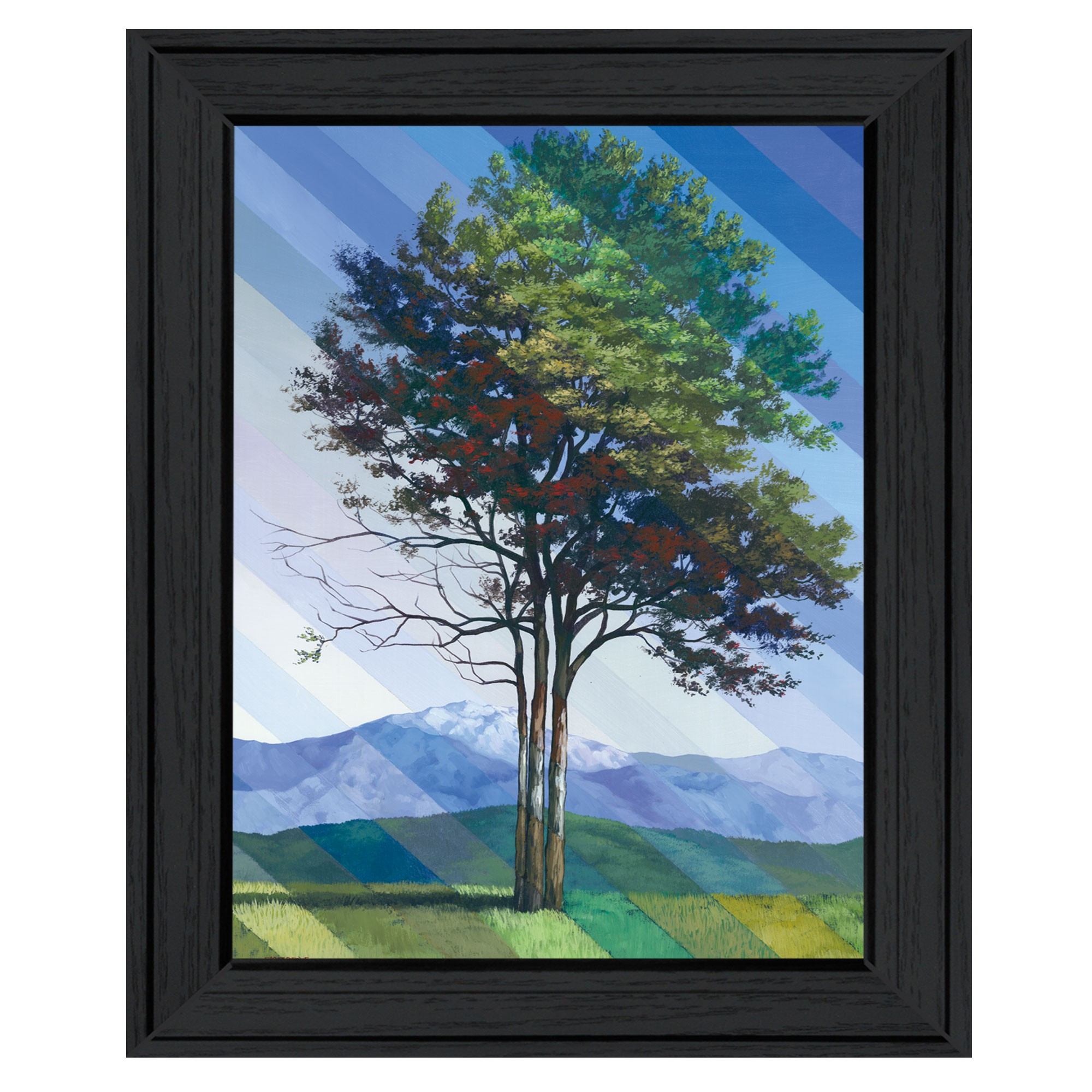 Catching Light As Time Passes 2 Black Framed Print Wall Art