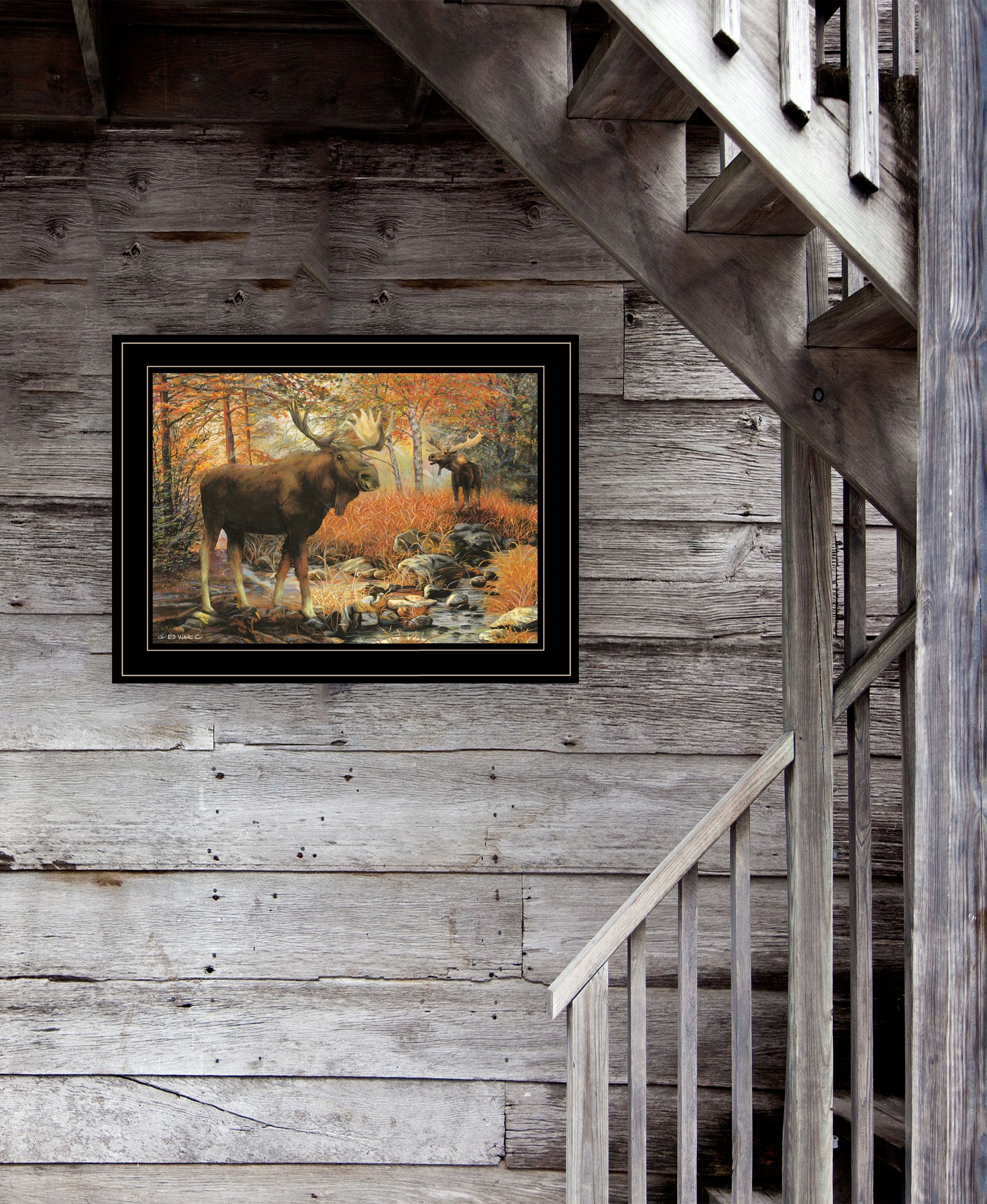 Call Of The Wild 3 Black Framed Print Wall Art