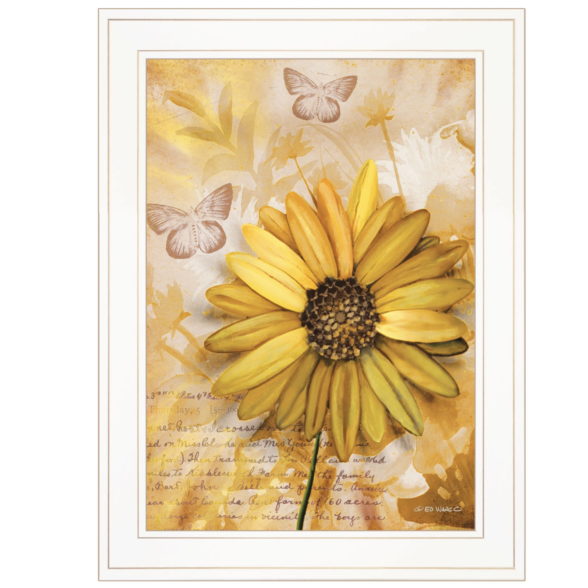 Flowers & Butterflies Ii 2 White Framed Print Wall Art
