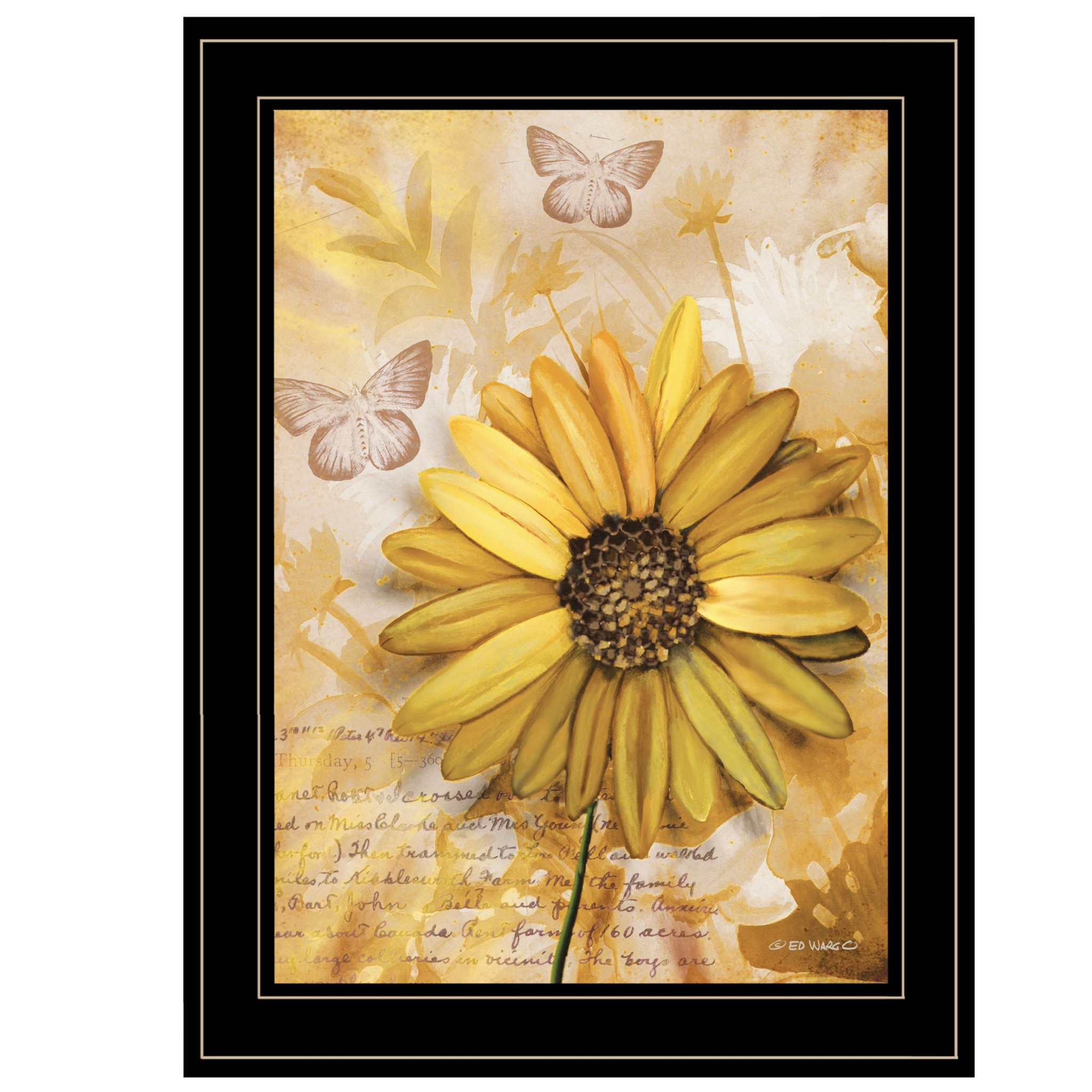 Flowers & Butterflies Ii 3 Black Framed Print Wall Art