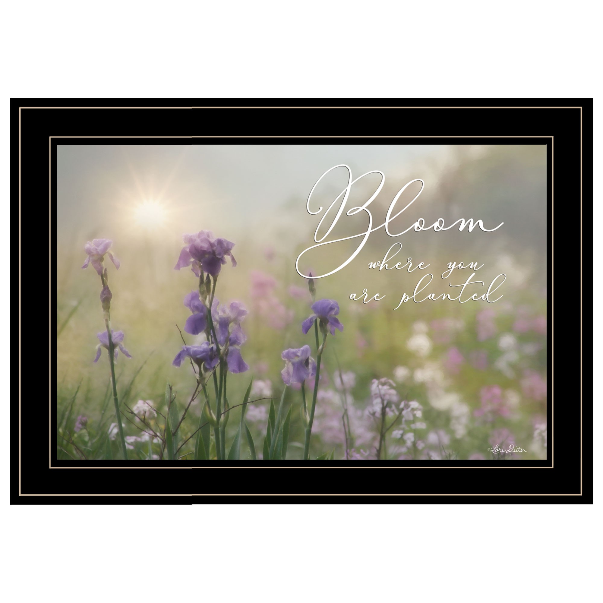 Bloom Where You Are Planted 2 Black Framed Print Wall Art