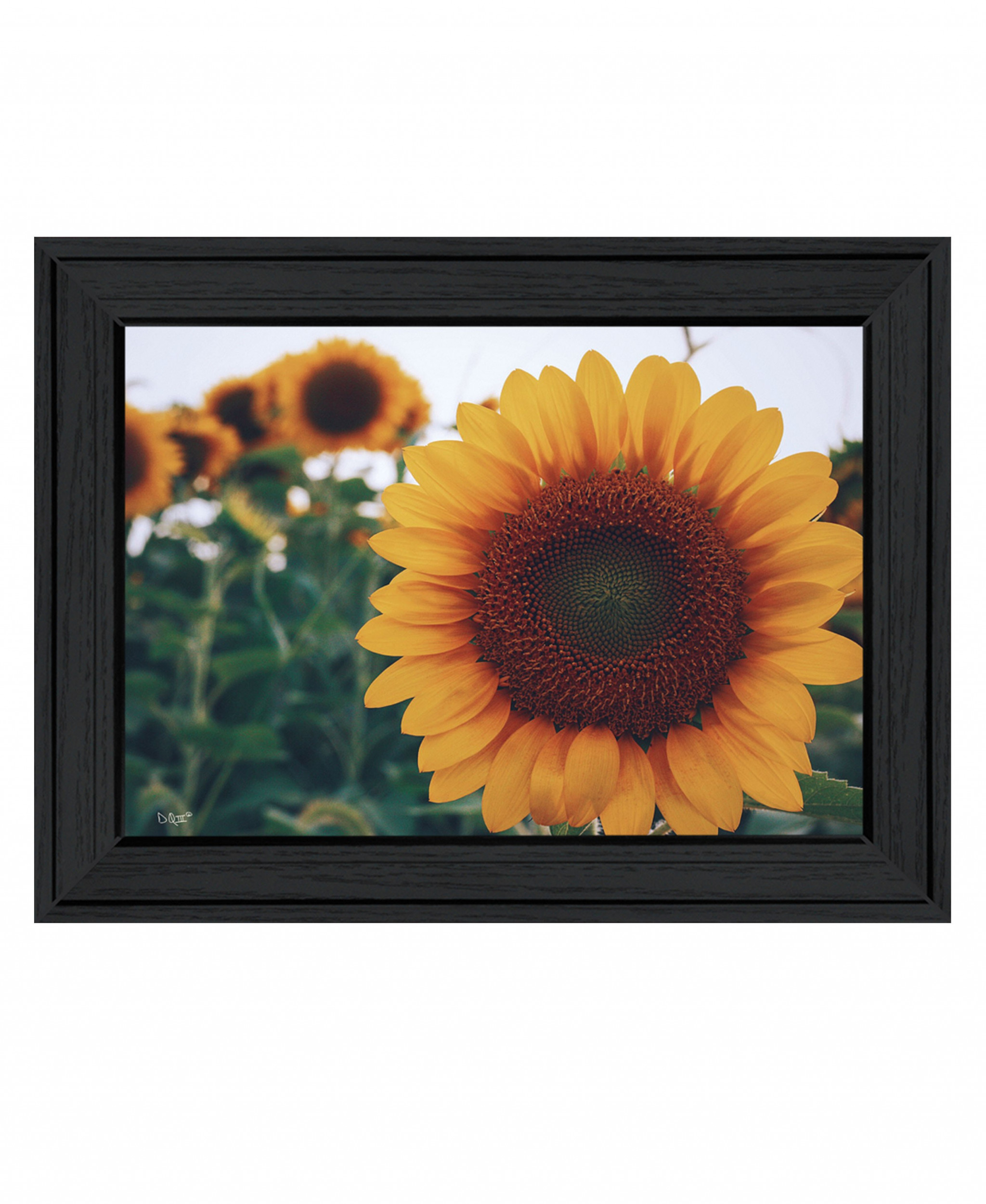 Midwest Livin Ii 3 Black Framed Print Wall Art