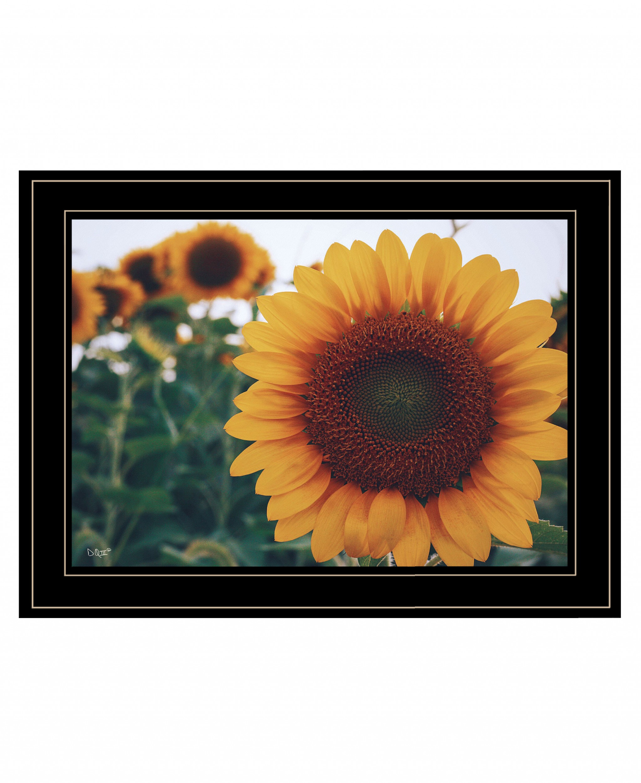 Midwest Livin Ii 4 Black Framed Print Wall Art