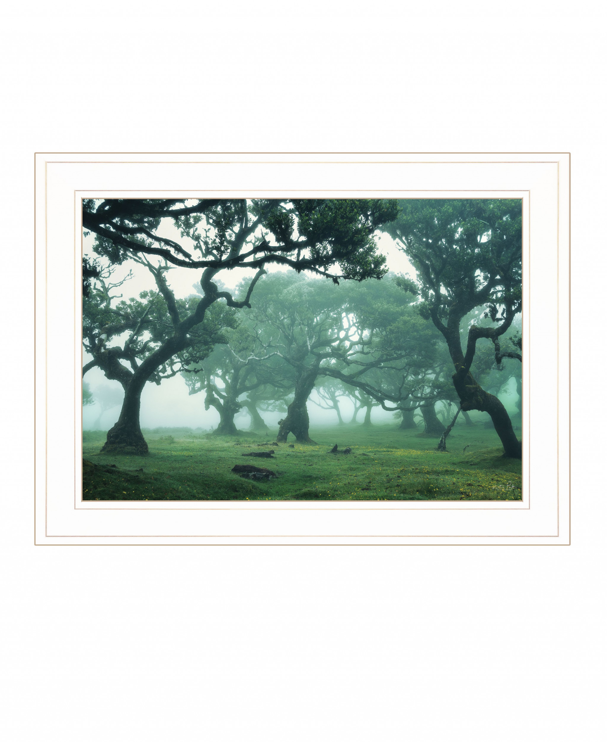 Enchanted Forest Ii 2 White Framed Print Wall Art