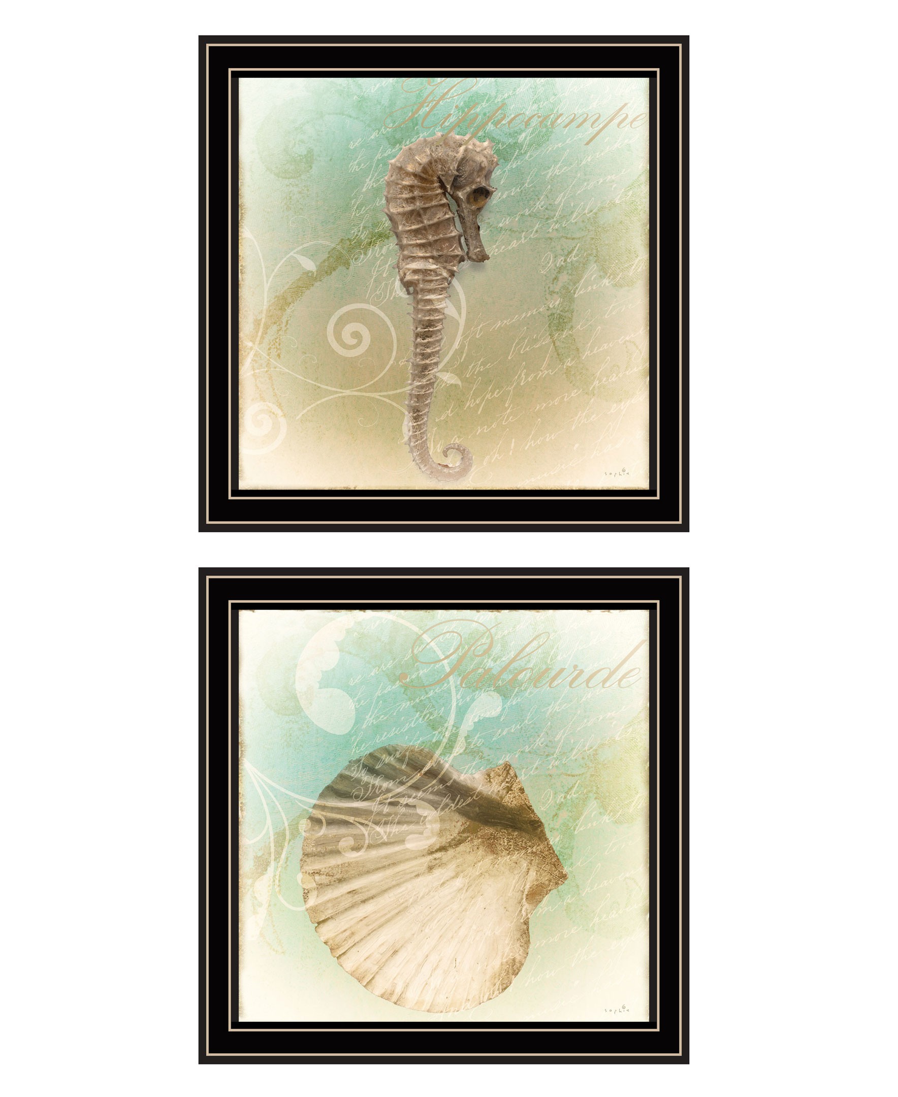 Set Of Two The Sea Iii And Sea Iv 1 Black Framed Print Wall Art