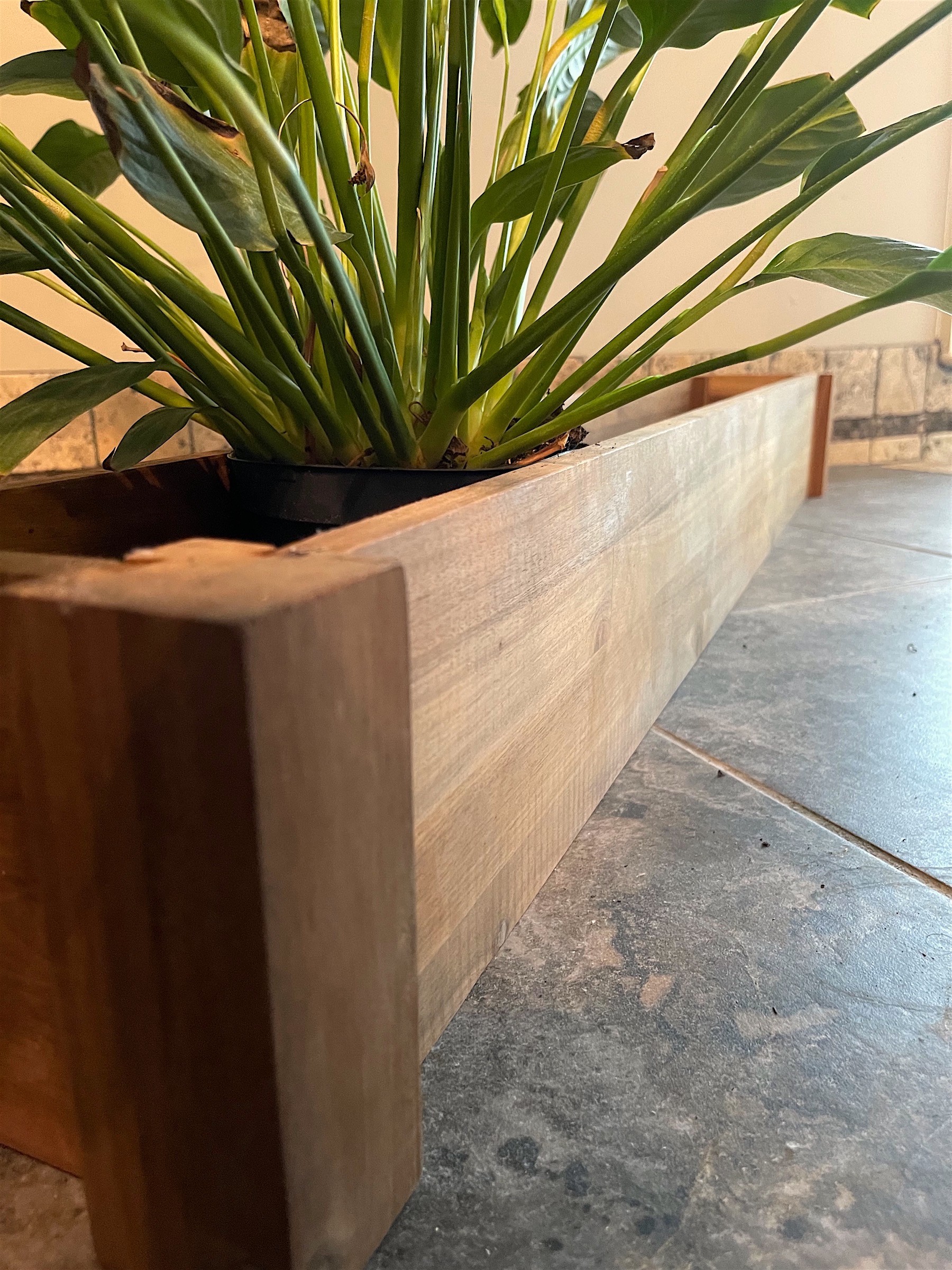 48" Premium Hardwood Vegetable and Flower Planter