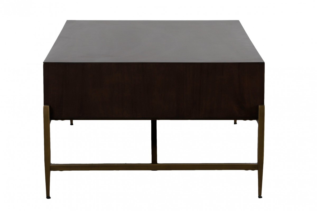 Modern Dark Mango Acacia and Brass Coffee Table