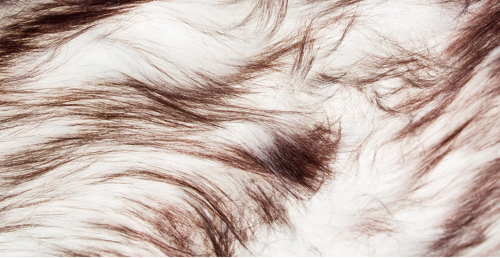 3" X 5" Chocolate Faux Fur Ombre Non Skid Area Rug