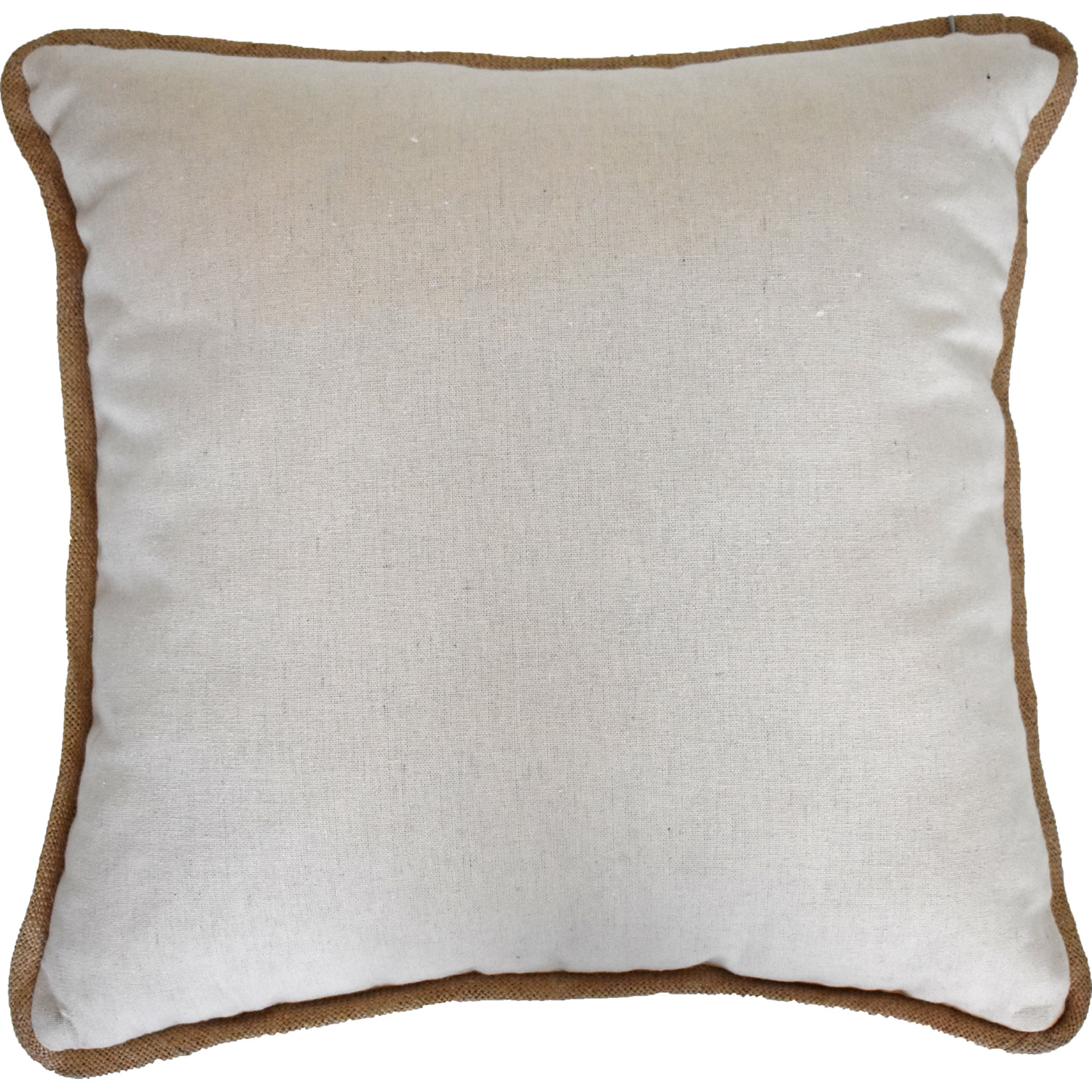 Accent Throw Pillows