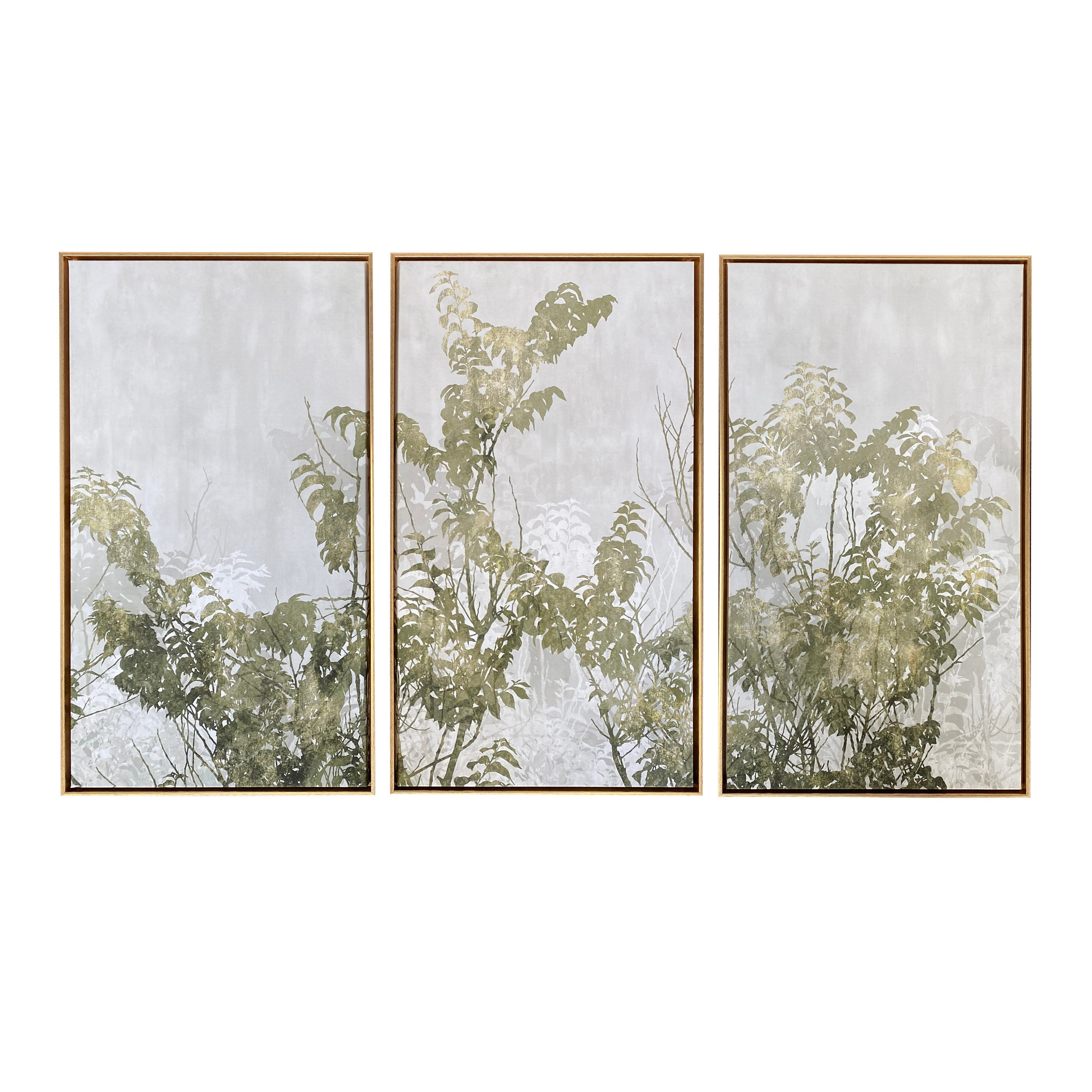 Set of Three Botanical gold Floater Frame Painting Wall Art