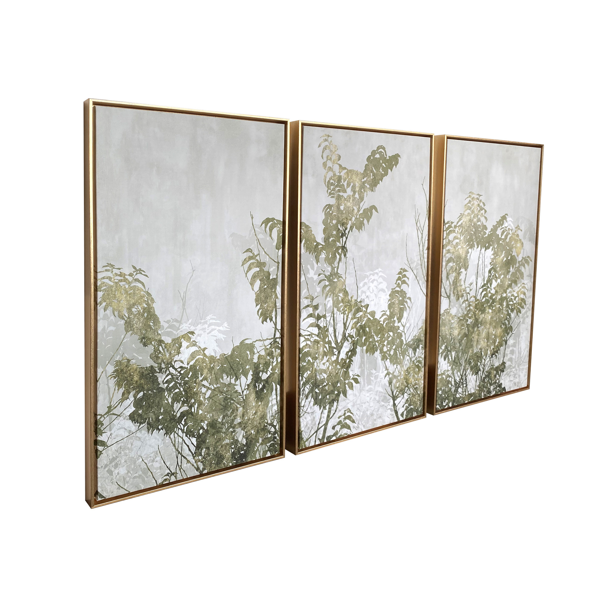 Set of Three Botanical gold Floater Frame Painting Wall Art