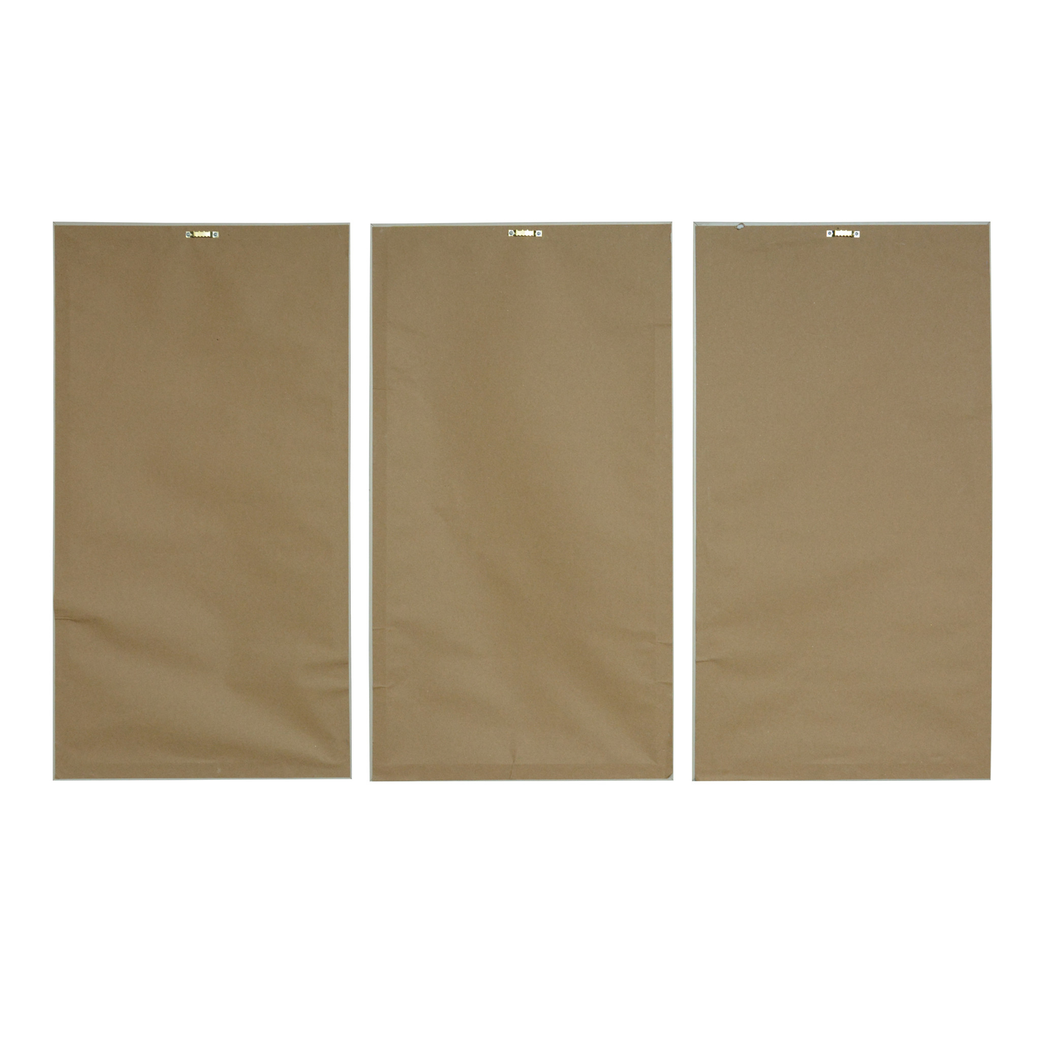 Set of Three Botanical gold Floater Frame Painting Wall Art