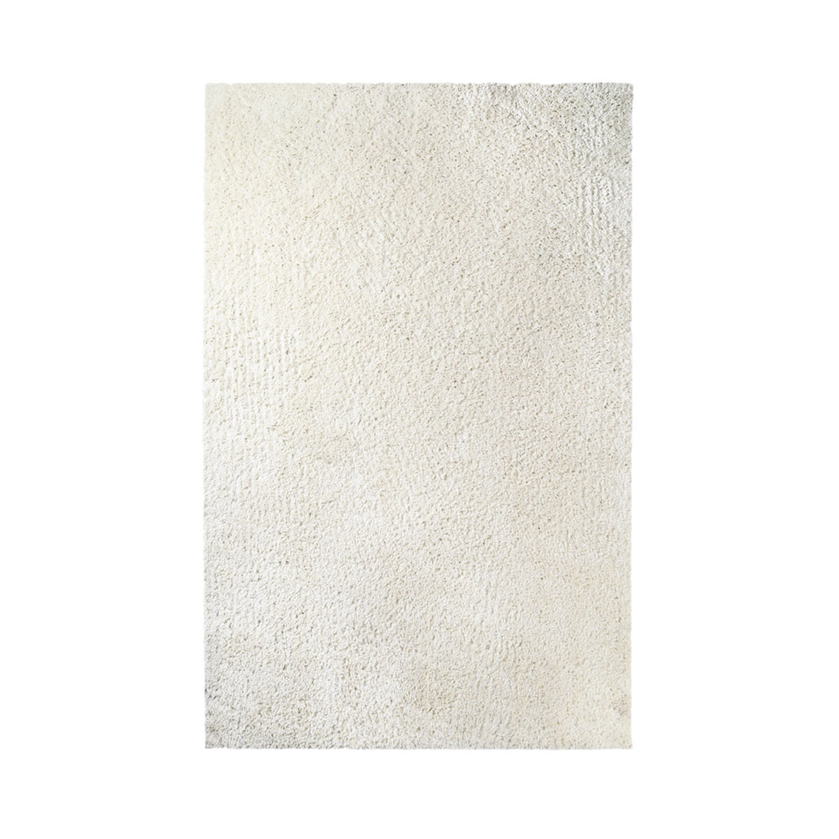 4" X 6" Ivory Shag Stain Resistant Area Rug